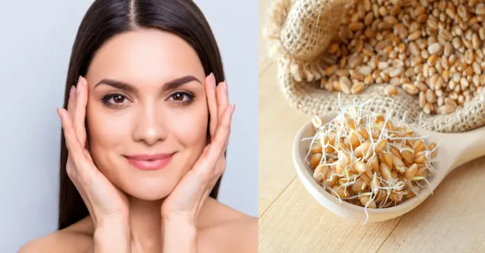 تاثیر پودر جوانه گندم بر چاقی صورت 34543543