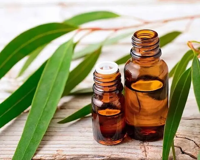 روغن های حاوی اکالیپتوس 654645