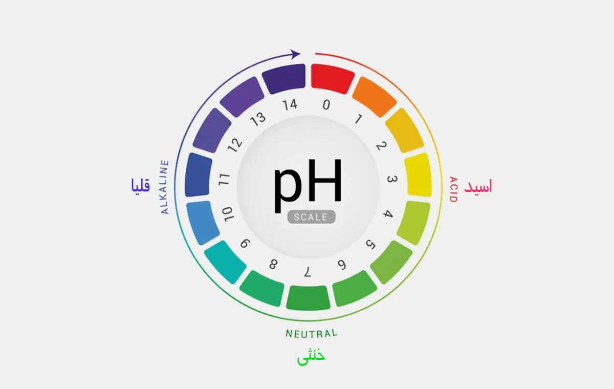 پی‌اچ پوست 5978